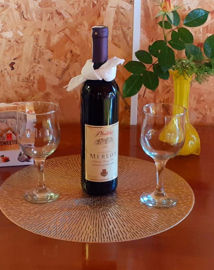 Obiteljski Apartman Borovi Visoko Εξωτερικό φωτογραφία
